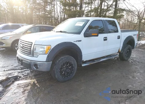 2010 Ford F-150 Xlt z USA, uszkodzony, nr VIN 1FTFW1EV1AFD10630